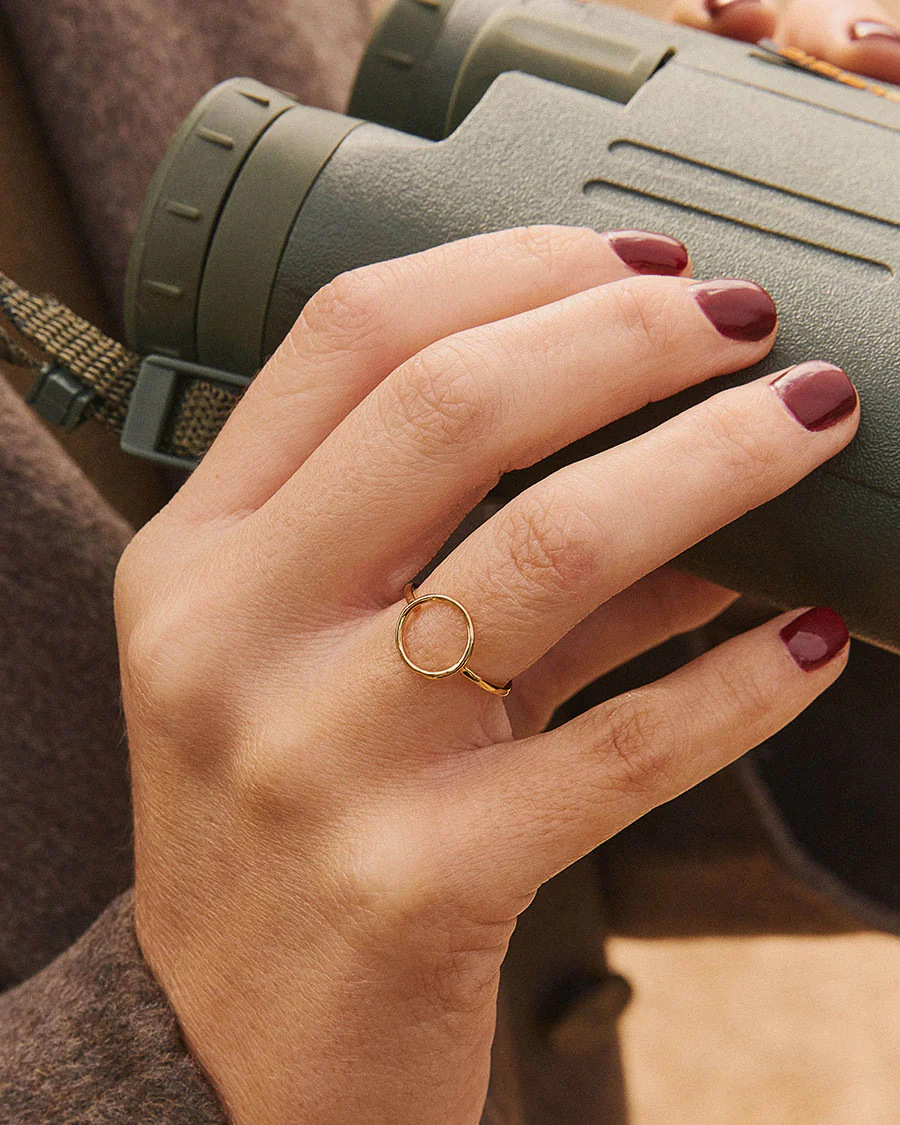 Anillo Humpback - Image 4